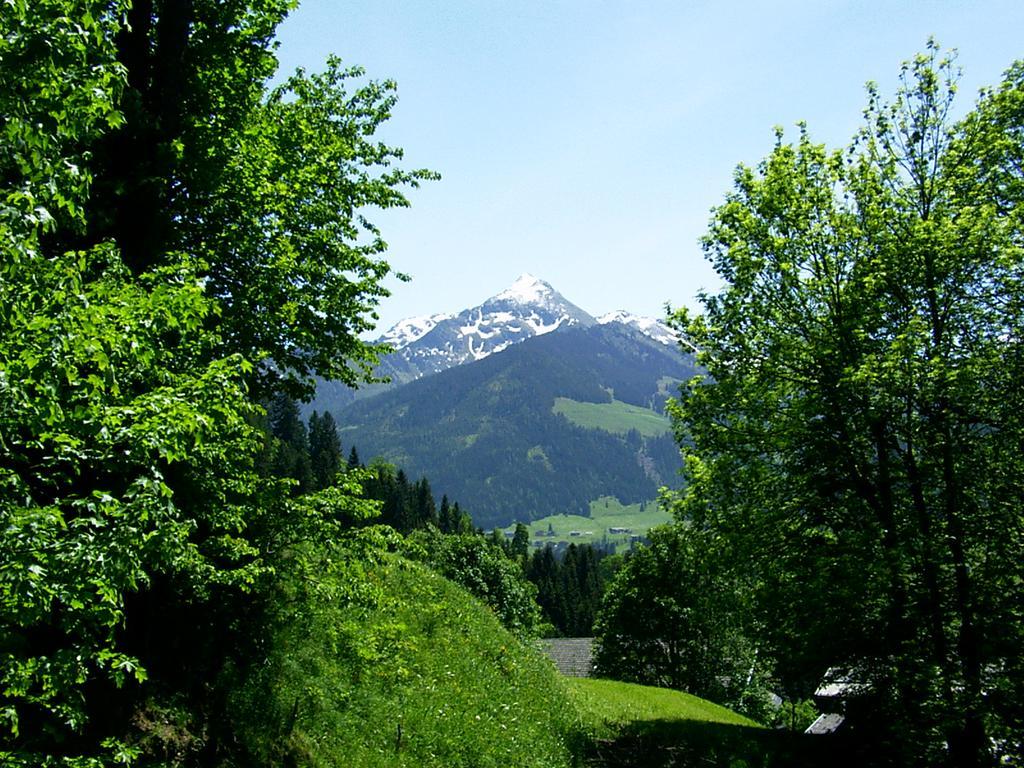 Ferienwohnungen Unterfeld อัลพ์บาค ภายนอก รูปภาพ