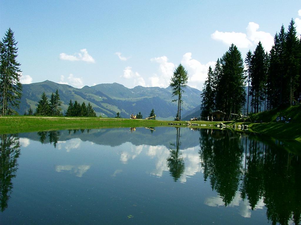 Ferienwohnungen Unterfeld อัลพ์บาค ภายนอก รูปภาพ