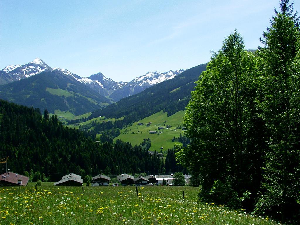 Ferienwohnungen Unterfeld อัลพ์บาค ภายนอก รูปภาพ