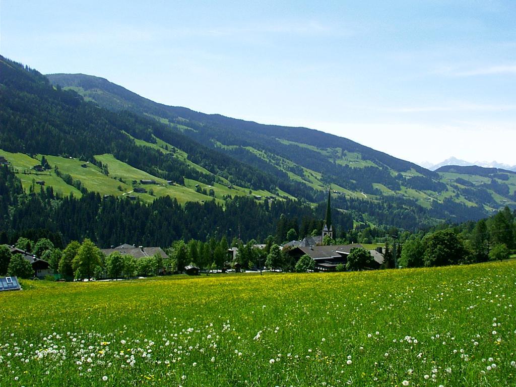 Ferienwohnungen Unterfeld อัลพ์บาค ภายนอก รูปภาพ