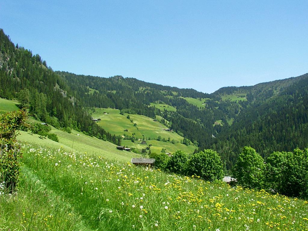 Ferienwohnungen Unterfeld อัลพ์บาค ภายนอก รูปภาพ