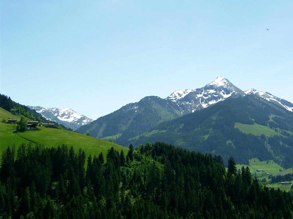 Ferienwohnungen Unterfeld อัลพ์บาค ภายนอก รูปภาพ